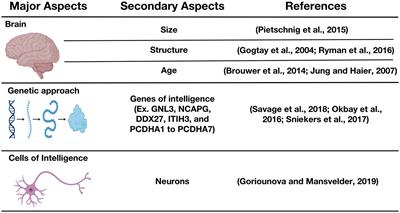 Influence of HIV infection on cognition and overall intelligence in HIV-infected individuals: advances and perspectives